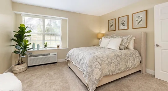 Amenities | Maple Ridge Senior Living